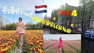 พาชมสวน ดอกทิวลิปที่ เนเธอร์แลนด์ สวยที่สุดในยุโรป #netherlands #amsterdam   #youngon #ยังอร #tulip