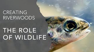 Creating Riverwoods: The Role of Wildlife