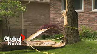 London, Ont., begins cleanup after powerful storm sweeps through region