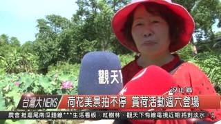 觀天下新聞1050622HD09 荷花美景拍不停 賞荷活動週六登場