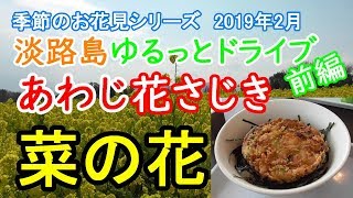 【季節のお花見シリーズ】ゆるっとドライブ前編　あわじ花さじき　菜の花満開！！　２０１９年２月。