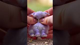 Baby Bunny Mochi Mochi  #cute #funny #comedymovies