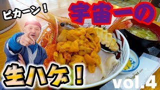 【生のハゲ】宇宙一の海鮮丼を食べたら\