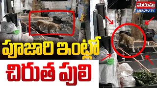 Tiger Spotted In Priest House | పూజారి ఇంట్లో చిరుత పులి | Srisailam | CCTV visuals | Merupu Tv