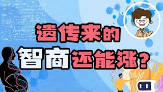 第一个孩子的智商，主要是遗传父亲还是母亲呢？【灯泡先森说】