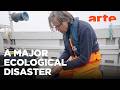 Plastic and Marine Life: An Uneasy Coexistence | ARTE.tv Documentary