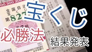 【必勝法】一枚買い最強説〜結果〜【宝くじ】