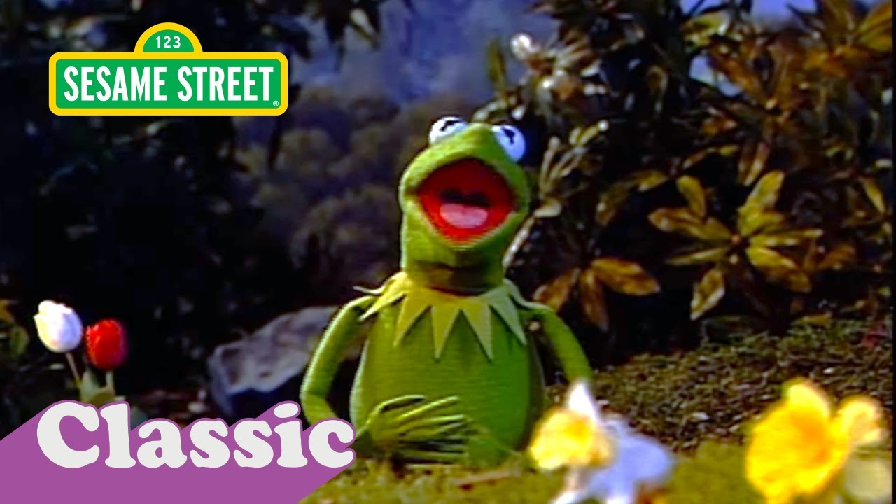 I Wonder 'Bout The World Song With Kermit | Sesame Street Classic - YouTube