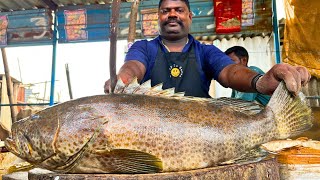 KASIMEDU 🔥 SPEED SELVAM | BROWN GROUPER FISH CUTTING VIDEO | IN KASIMEDU | FF CUTTING 🔪