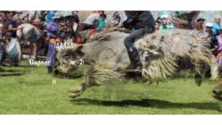 BaaskaDallas Sarlag naadam shtoric