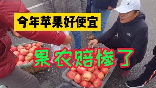 乳山银滩赶大集，集上苹果最低1元1斤，果农连成本都挣不回来