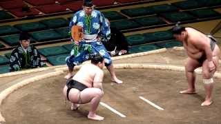 Kotootori (1-2) - Kansei (0-3) , Sumo : Natsubasho 2012