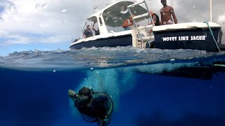 Diving in Antigua with Antigua Scuba School