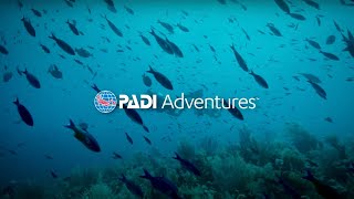 Introducing PADI Adventures