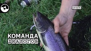 Семга дикая и разводная | Классика