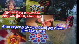 ✨Margazhi-18,🙋‍♀️Brahma muhurta poojai|🪴துளசி செடி காயாமல் இருக்க இப்படி செய்ங்க, #bramhamuhutapooja