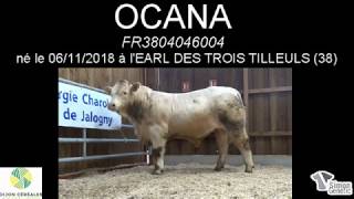 OCANA à l'EARL DES TROIS TILLEULS