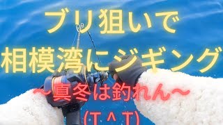 【相模湾ジギング】真冬はただのトレーニング(・・?