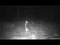 viltkamera trailcam hunting owl