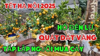 Tết Hà Nội 2025- Quất Dát Vàng Độc Lạ, Chợ Hoa Tết Hồ Đền Lừ Tấp Lập Người Mua Cây.