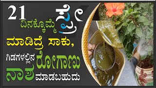 21 ದಿನಕ್ಕೊಮ್ಮೆ ಸ್ಪ್ರೇ  ಮಾಡಿದರೆ ಸಾಕು ಗಿಡಗಳಲ್ಲಿನ ರೋಗಾಣು ನಾಶ ಮಾಡಬಹುದು #marysmanegarden  #gardener