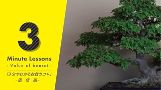 『3分で分かる盆栽のコト  - 価値編 - 』3 minutes Lessons - Value of bonsai  -