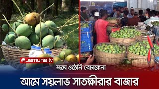 বাজারে উঠতে শুরু করেছে আম, নেই ক্রেতা; সারাদেশে পৌঁছে দিতে তদারকি | Satkhira Mango | Jamuna TV