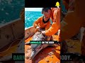 dolphin rescue removing barnacle shorts shortsfeed dolphinrescue dolphin nature marine ocean