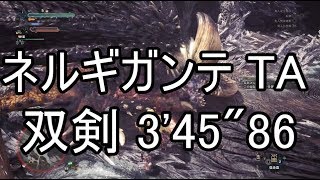 【MHW】☆8 ネルギガンテ Nergigante TA 双剣 3'45\