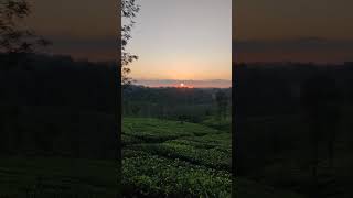 Sunset #wayanad #shots