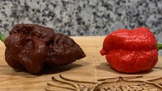 RED NAGLAH BEAST + CHOC. NAGLAH BEAST taste/heat comparison! By Linda's Fiery Treats!