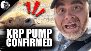 XRP PUMP CONFIRMED (Ripple Expert CALLED OUT)