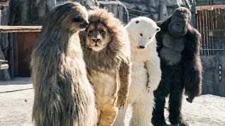 動物園スタッフが着ぐるみで動物に成り済ます！韓国映画『シークレット・ジョブ』本編映像