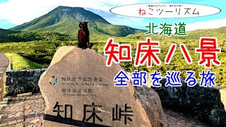 【猫と旅行】知床八景全部見る【北海道】