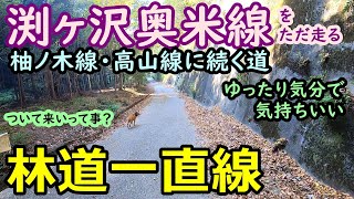 【林道一直線】　千葉　林道　渕ヶ沢奥米線