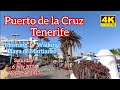 Tenerife 🏝️ Puerto de la Cruz Morning 6 July 2024 Teneriffa