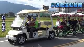 池上玩家-109年11月2日 鼎濬旅行社 環島旅遊趣 VIP貴賓團-池上接龍拉拉車