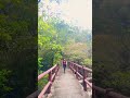 BRIDE'S POOL BRIDGE| BRIDE'S POOL NATURE TRAIL #hiking #hongkongadventures #hikingroute #hongkong