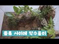 돌틈사이로 흘러나오는 약수터 만들어봤어요 #테라리움 #terrarium