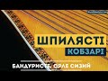 Шпилясті кобзарі – Бандуристе орле сизий acoustic version