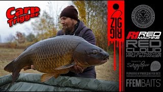 Ловля карпа на ZIG-Rig / Секретный рецепт прикормки FFEM Baits