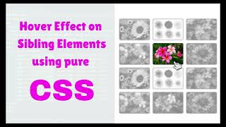 Hover Effect on Sibling Elements using pure CSS