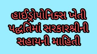 હાઈડ્રોપોનિક ખેતી l ખેતી l આધુનિક ખેતી l ખેતી જ્ઞાન l kheti l agri l    એગ્રિકલ્ચર