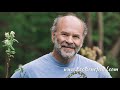 ecobeneficial interview edible native plants with russ cohen