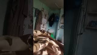 Mary Boberry Ssbbw Niku Good Mp3 Mp4 Download Clip Africa Mary Boberry Ssbbw Niku Good Mp3 Mp4 Download Clip Africa