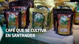 Conozca lo "especial" del café que se cultiva en Santander | Vanguardia
