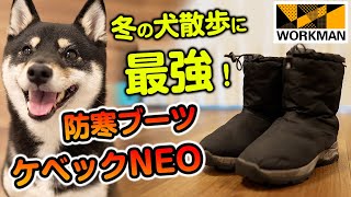 【ワークマン】真冬の犬散歩に最強の防寒ブーツ！ケベックNEOの特徴とレビュー【柴犬】