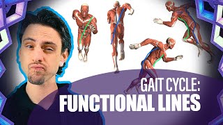 Functional Slings in the Gait Cycle | Yoga Anatomy Lesson