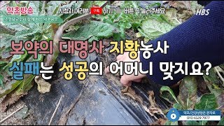 생지황 캤습니다. 과연 실패는 성공의 어머니일까요[약초방송]