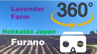 【VR 360 camera】 Furano Hokkaido Japan Lavender Farm